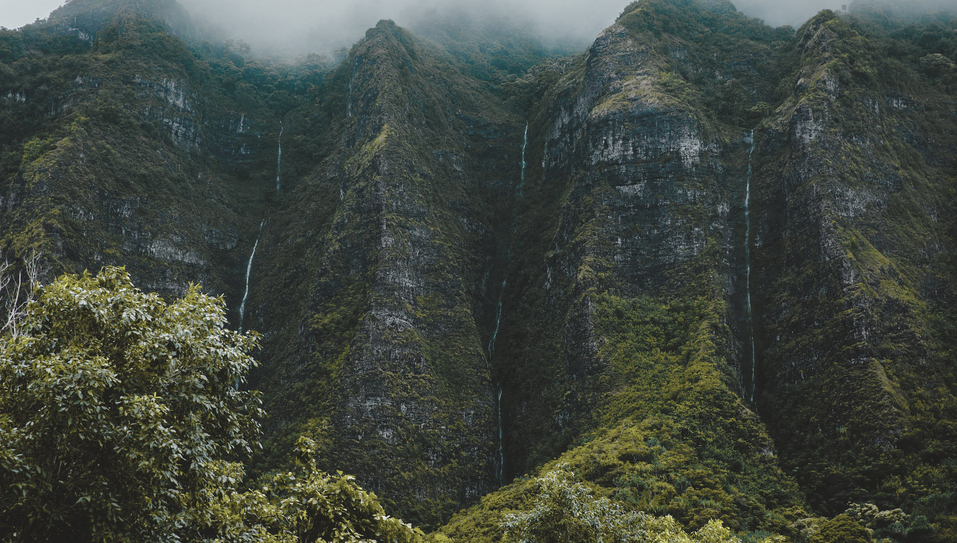 6.7″ TPLA Knnife – Case of 1000